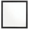 Kendall Dresser Mirror Black