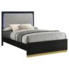 Caraway Wood California King LED Panel Bed Black