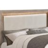 Kenora 56-inch California King LED Storage Bed Barley Brown