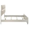 Olivia Eastern King Panel Bed LED Headboard Pearl White