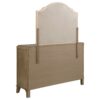 Revello 8-drawer Bedroom Dresser with Mirror Washed Mango