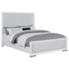 Gracemont 57-inch Queen Panel Bed Grey and White