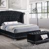Barzini Upholstered Queen Wingback Bed Black