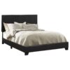 Dorian Faux Leather Upholstered Queen Panel Bed Black