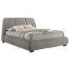 Mokena 46-inch Upholstered Queen Platform Bed Taupe