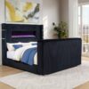 Tisdall Eastern King Flame Visualizer Wingback TV Bed Black