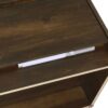 Westpark 2-drawer Nightstand LED Lights and USB Dark Pine
