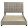 Medley Genuine Leather Queen Panel Platform Bed Tan