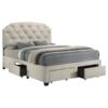 Marianna 4-drawer Upholstered Queen Storage Bed Cream