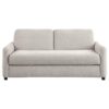 Rylie Upholstered Sofa Sleeper with Queen Mattress Beige