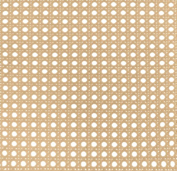 Lanewood Open Cane Webbing Metal Eastern King Bed White