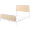 Lanewood Open Cane Webbing Metal Queen Bed White