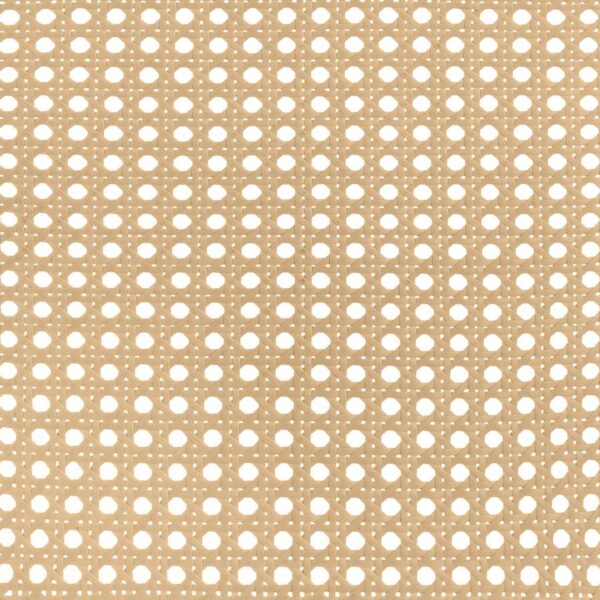 Lanewood Open Cane Webbing Metal Queen Bed White