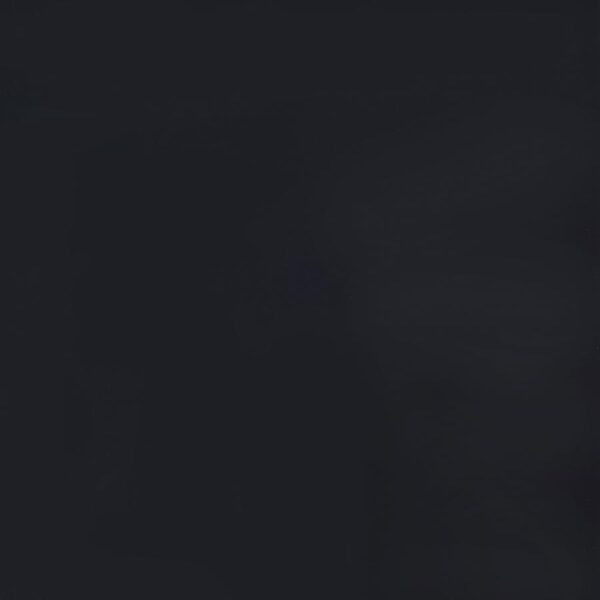 Carrie 3-Panel Room Divider Folding Shoji Screen Black