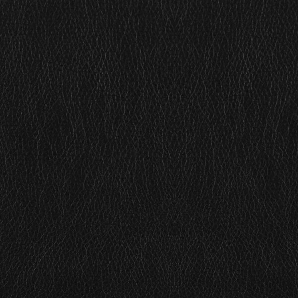 Finley Upholstered Padded Arm Tufted Accent Chair Black