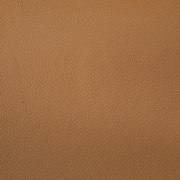 Buxton Top Grain Leather Upholstered Sofa Orange
