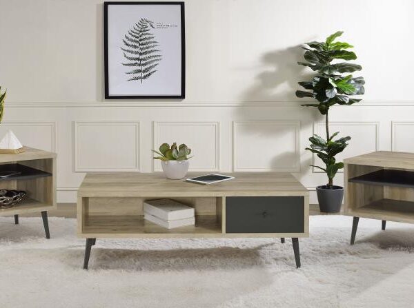 Welsh 3-piece Coffee and End Table Set Distressed Pine