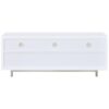Casey 2-drawer Engineered Wood 60-inch TV Stand White