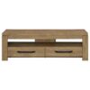 Elkton 2-drawer Engineered Wood 59-inch TV Stand Mango