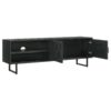 Marsden 2-door Mango Wood 70-inch TV Stand Charcoal Black