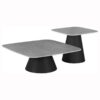 Eason 2-piece Cocktail Coffee Table Set Concrete and Black