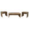 Lynette 3-piece Rectangular Coffee and End Table Set Mango