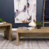 Lynette Rectangular Engineered Wood Coffee Table Mango