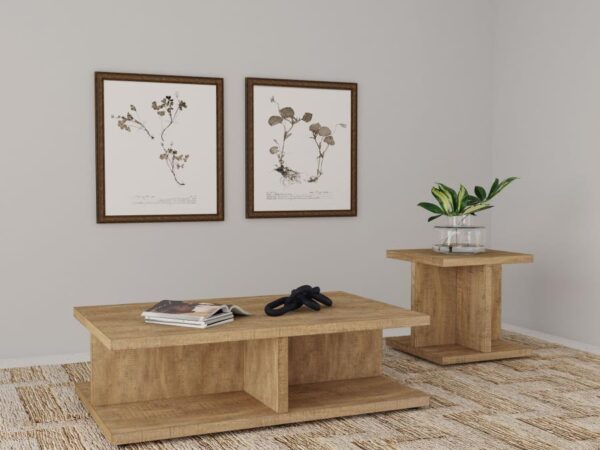 Cortona 2-piece Coffee and End Table Set Mango