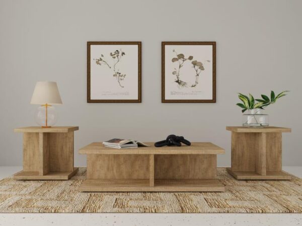 Cortona 3-piece Coffee and End Table Set Mango