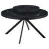 Briggs 2-piece Round Coffee and End Table Set Black