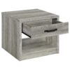 Felix 2-piece Coffee and End Table Set Grey Driftwood
