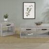 Felix 2-drawer Engineered Wood Coffee Table Grey Driftwood