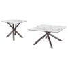 Carvell 2-piece Square Coffee and End Table Set Mirage White