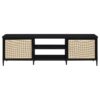 Amherst 2-door 70-inch Metal TV Stand Media Console Black