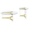 Janessa 2-piece Acrylic Coffee and End Table Set Matte Brass