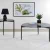Rosalie 2-piece Round Coffee and End Table Set Grey