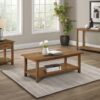 Payne 1-drawer Wood End Table with Shelf Distressed Brown
