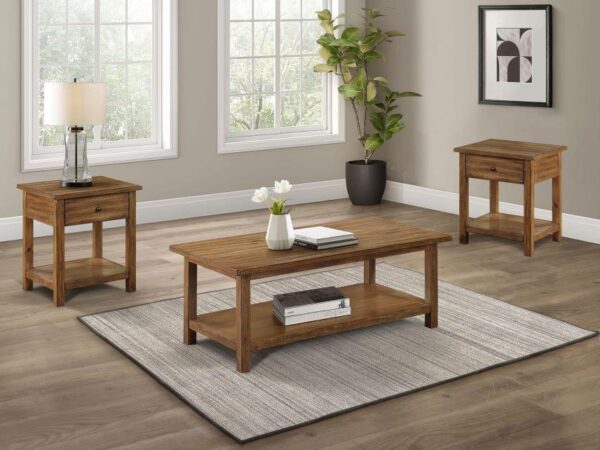 Payne 3-piece Coffee and 1-drawer End Table Set Brown