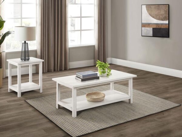 Payne 2-piece Coffee and End Table Set Distressed White