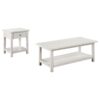Payne 2-piece Coffee and 1-drawer End Table Set White