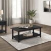 Payne 2-piece Coffee and 1-drawer End Table Set Java