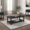Payne 3-piece Coffee and 1-drawer End Table Set Java