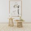 Touhy 2-piece Round Coffee and End Table Set Natural Mango
