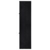 Denison 67-inch 2-door Media Tower Storage Cabinet Black