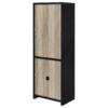 Denison 67-inch 2-door Media Tower Storage Cabinet Black