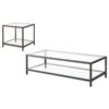 Trini 2-piece Coffee and End Table Set Black Nickel