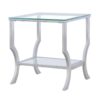 Saide Square Glass Top Side End Table Chrome