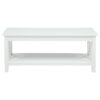 Skyview 44-inch Rectangular Lift Top Coffee Table White