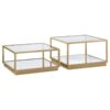 Renee 2-piece Square Coffee Table Set Rose Brass