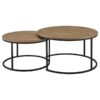 Lainey 2-piece Round Nesting Coffee Table Mango